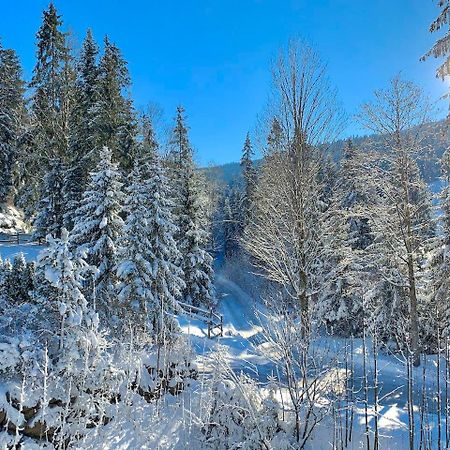 Haus Widmann Lejlighed Scheffau am Wilden Kaiser Eksteriør billede